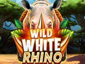altura do ramon dino