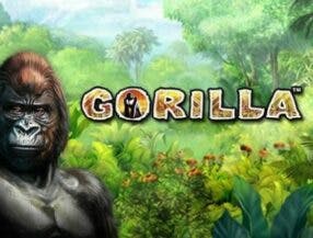 jogo com bonus de cadastro