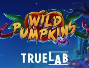 judi online terpercaya sbobet